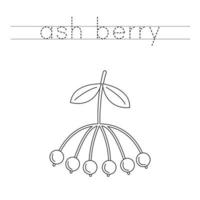 Trace the letters and color ash berry. Handwriting practice for kids. vector