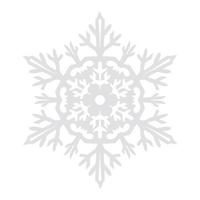 Snowflake vector graphics on a white background cut out of paper , 6 rays.