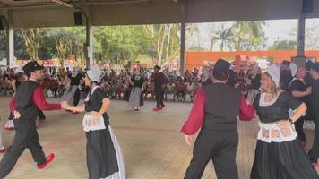 traditionell dutch folkdans på de expo flora festival på holombra, Brasilien. 3 september 2022. video