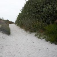 Entrance to a sandy beach, Batz island, France photo