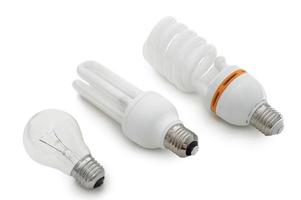 Three kinds of bulbs photo