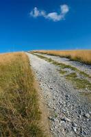 LOnely road and  blue sky photo