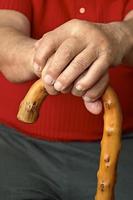 Hands and stick photo