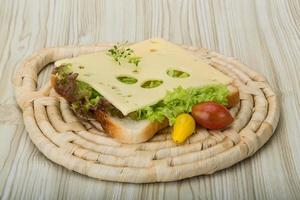 Sandwich with cheese photo