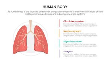 concepto de infografía de anatomía humana de pulmones para presentación de diapositivas con información de datos de lista de 4 puntos vector