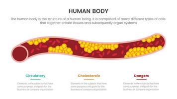 concepto de infografía de anatomía humana de colesterol para presentación de diapositivas con información de datos de lista de 3 puntos vector