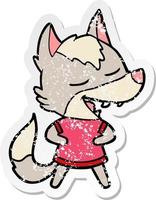 distressed sticker of a cartoon wolf laughing vector