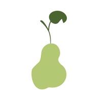 vector illustration of a fresh pear