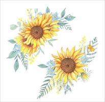 Bouquets of sunflowers and wild flowers. watercolor composition vector