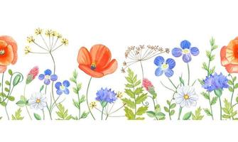 Watercolor floral seamless border with colorful wildflowers, leaves. vector