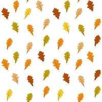 Autumn pattern. Oak leaves seamless pattern. vector