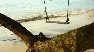 swing sem pessoas na costa oceânica de uma ilha tropical. conceito de turismo e viagens video