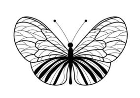 Butterfly coloring book. Linear drawing of a butterfly vector