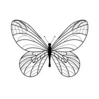 Butterfly coloring book. Linear drawing of a butterfly vector