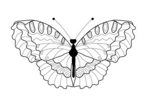 Butterfly coloring book. Linear drawing of a butterfly vector