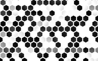 Light Silver, Gray vector backdrop with hexagons.