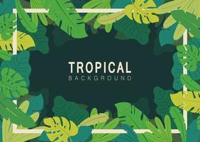 Tropical background vector