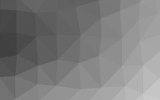 Light Silver, Gray vector polygonal background.