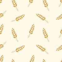 espigas de trigo maduro, patrones sin fisuras de fondo. ilustración vectorial de fondo de pantalla de hierba de cereal vector