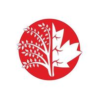 diseño de logotipo de árbol soplado y hojas de arce. signo comercial de canadá. vector