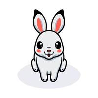 Cute little white rabbit cartoon vector