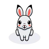 Cute little white rabbit cartoon vector