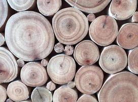 Pila de troncos de madera listos para el invierno foto