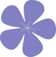 purple  flower. Periwinkle png