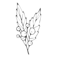 Minimal decoration floral ATL png