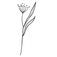 minimale Dekoration floral atl png