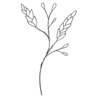 atl floral décoration minimale png