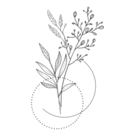 minimale Dekoration floral atl png