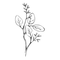 Minimal decoration floral ATL png