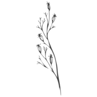 Minimal decoration floral ATL png