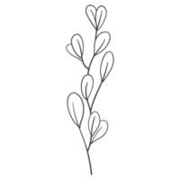 Minimal decoration floral ATL png