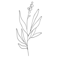 Minimal decoration floral ATL png