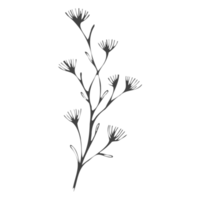 Minimal decoration floral ATL png