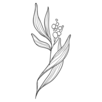 minimale Dekoration floral atl png