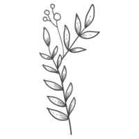 Minimal decoration floral ATL png