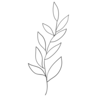 Minimal decoration floral ATL png