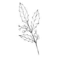 Minimal decoration floral ATL png