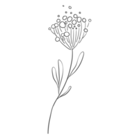 minimale Dekoration floral atl png