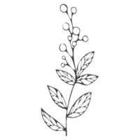 Minimal decoration floral ATL png