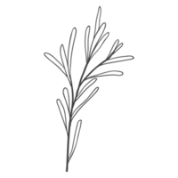 atl floral décoration minimale png