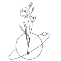 Minimal decoration floral ATL png