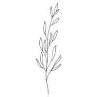 Minimal decoration floral ATL png