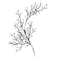 Minimal decoration floral ATL png