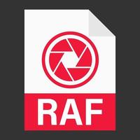diseño plano moderno del icono de archivo raf para web vector