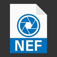 Modern flat design of NEF file icon for web vector