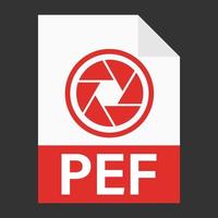 diseño plano moderno del icono de archivo pef para web vector